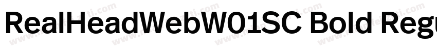 RealHeadWebW01SC Bold Regular字体转换